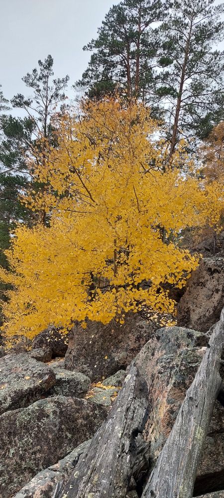 Photograph by Анастасия