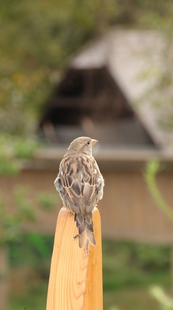 Photograph by Татьяна Федченко