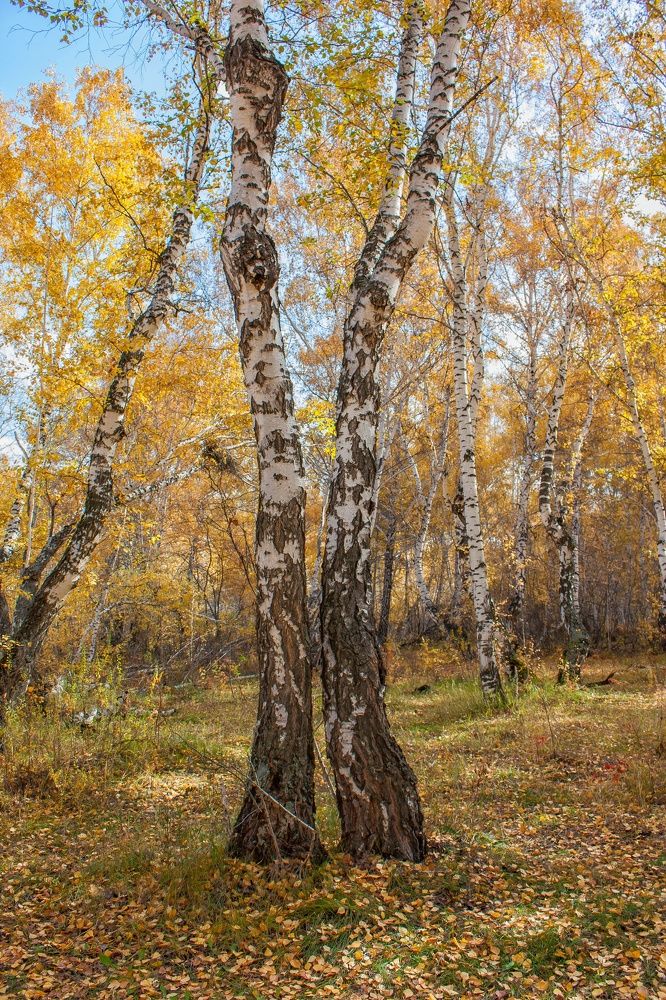 Photograph by Валерий Федяров