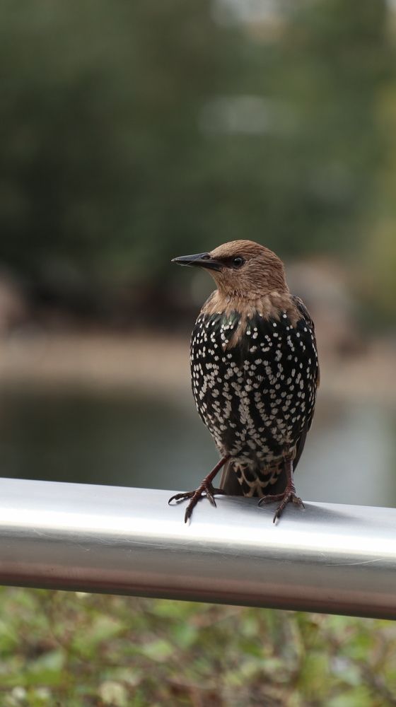 Photograph by Татьяна Федченко