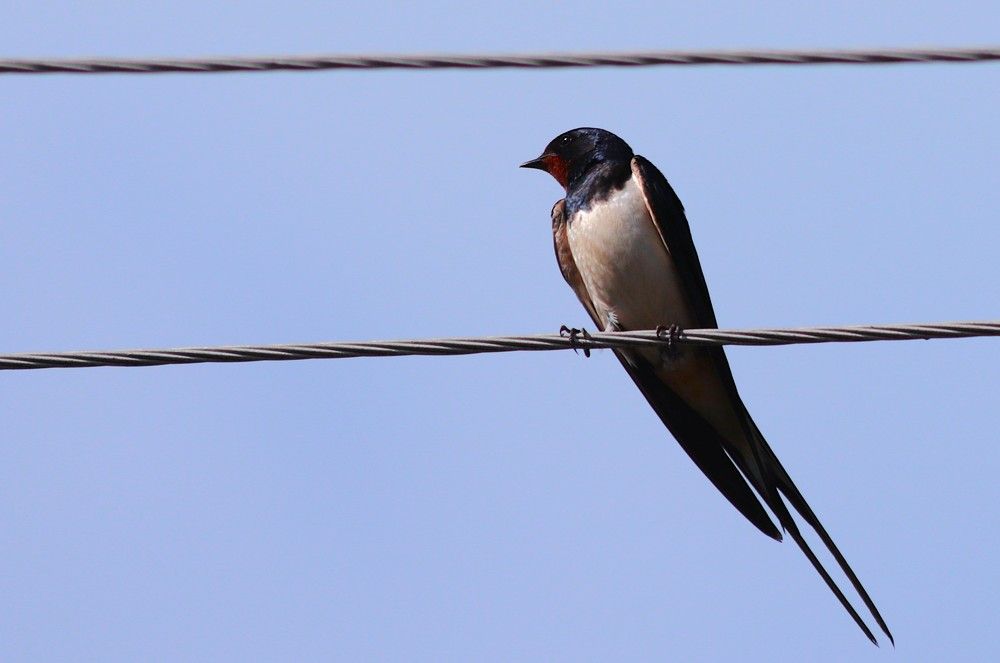 Photograph by Светлана Соколова