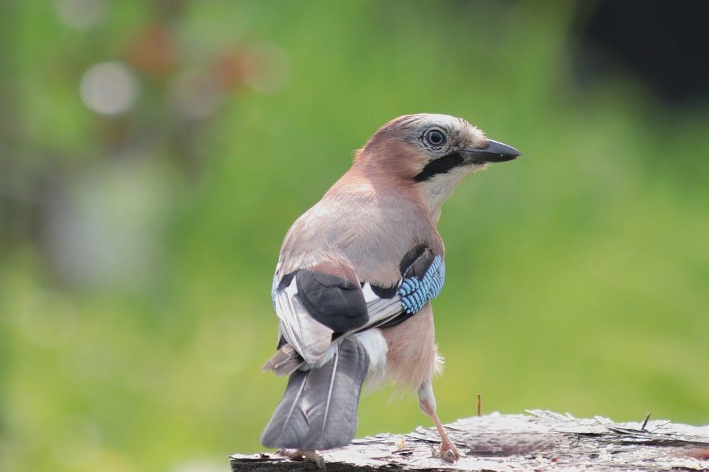 Photograph by Светлана Соколова