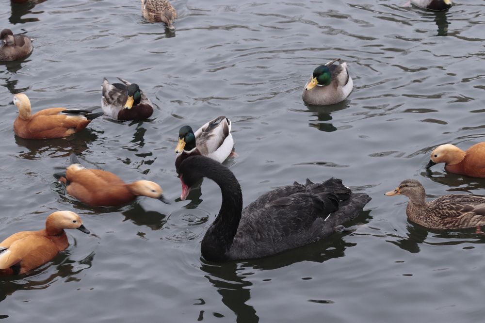 Photograph by Светлана Соколова