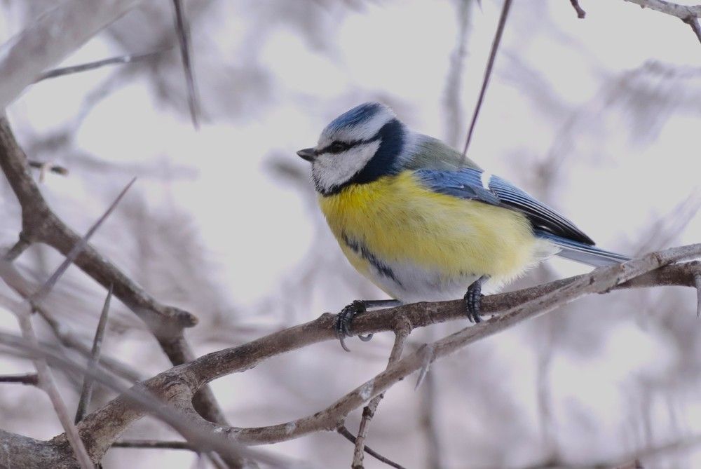 Photograph by Светлана Соколова