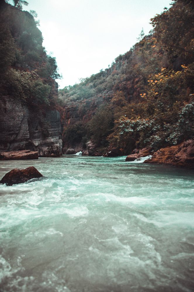 Photograph by Alp Aysgl