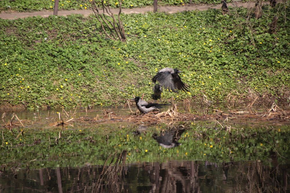 Photograph by Светлана Соколова