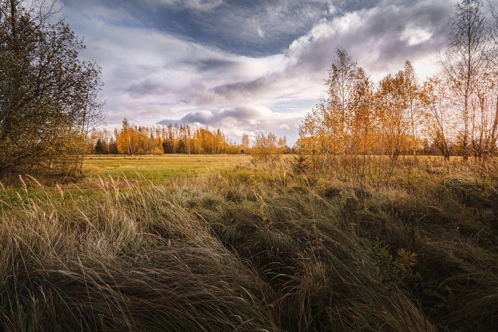 Осень в Торбеево...