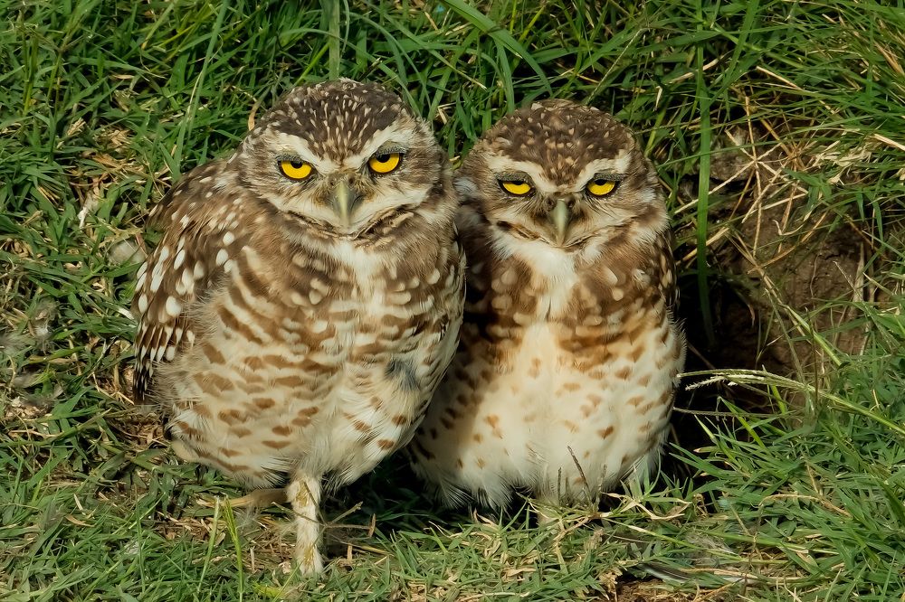 Photograph by Сергей Аверченко