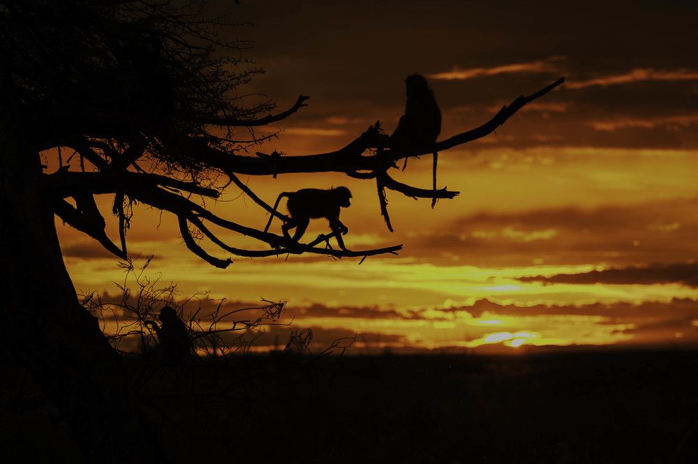 Photograph by Vishnu Panicker