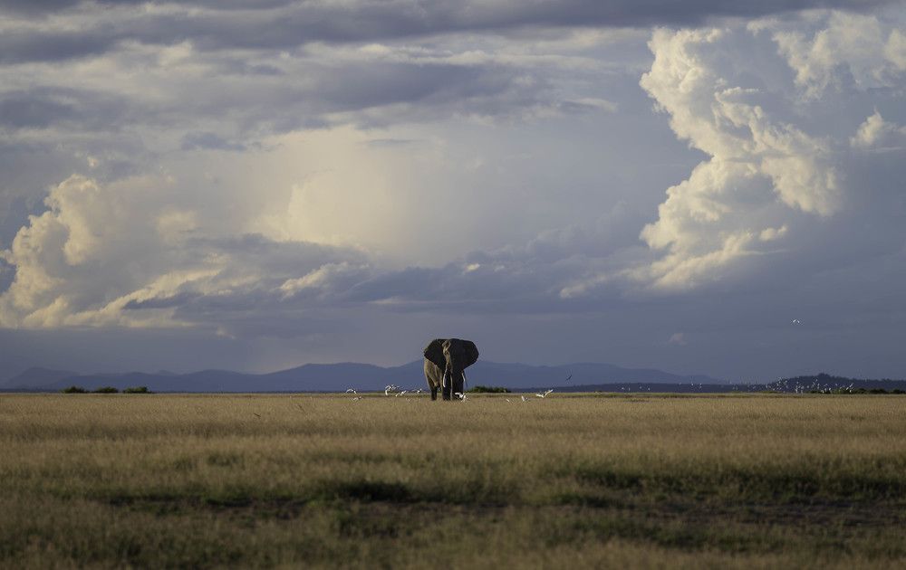 Photograph by Vishnu Panicker