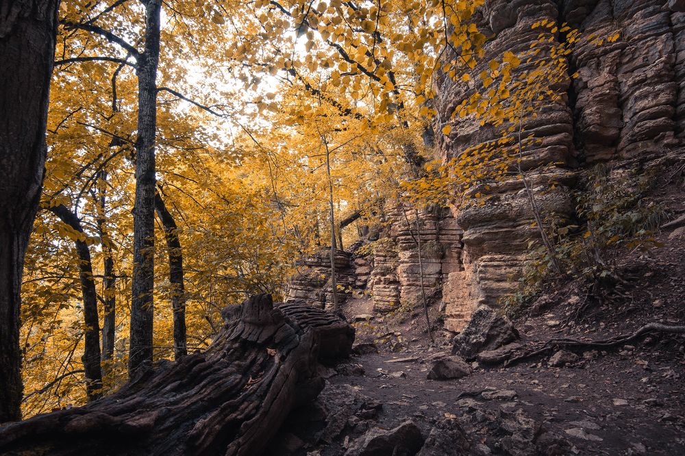 Фотография автора Вадим Коваленко