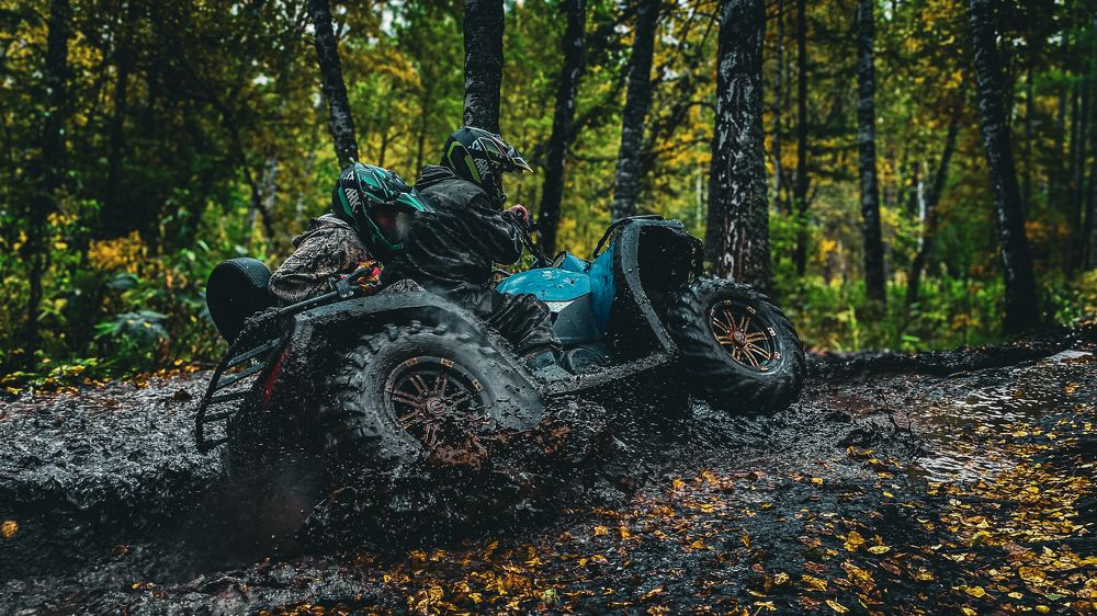 Photograph by Роман Алейников