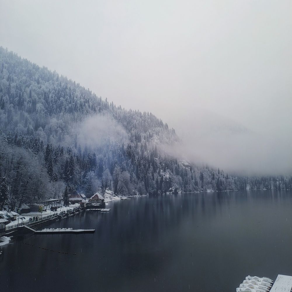 Photo #11098027