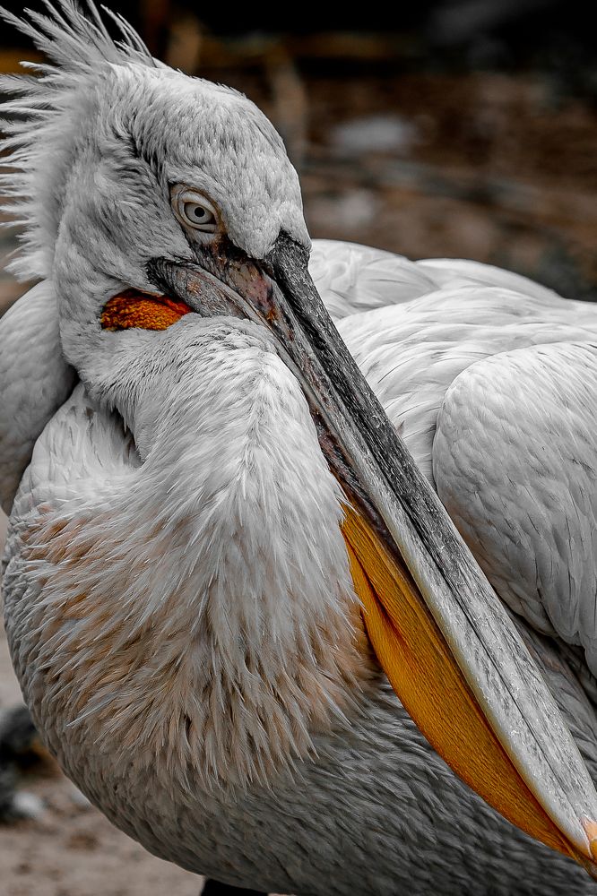 Photograph by Дмитрий Казачек