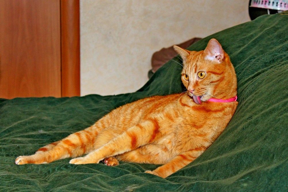 Photograph by Дмитрий Симагин