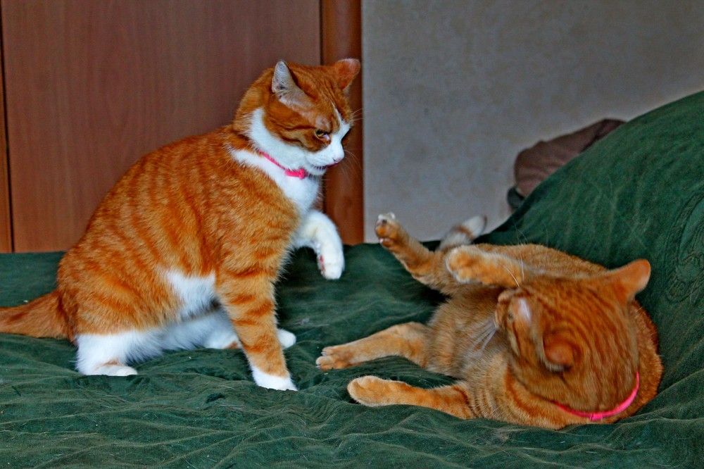 Photograph by Дмитрий Симагин