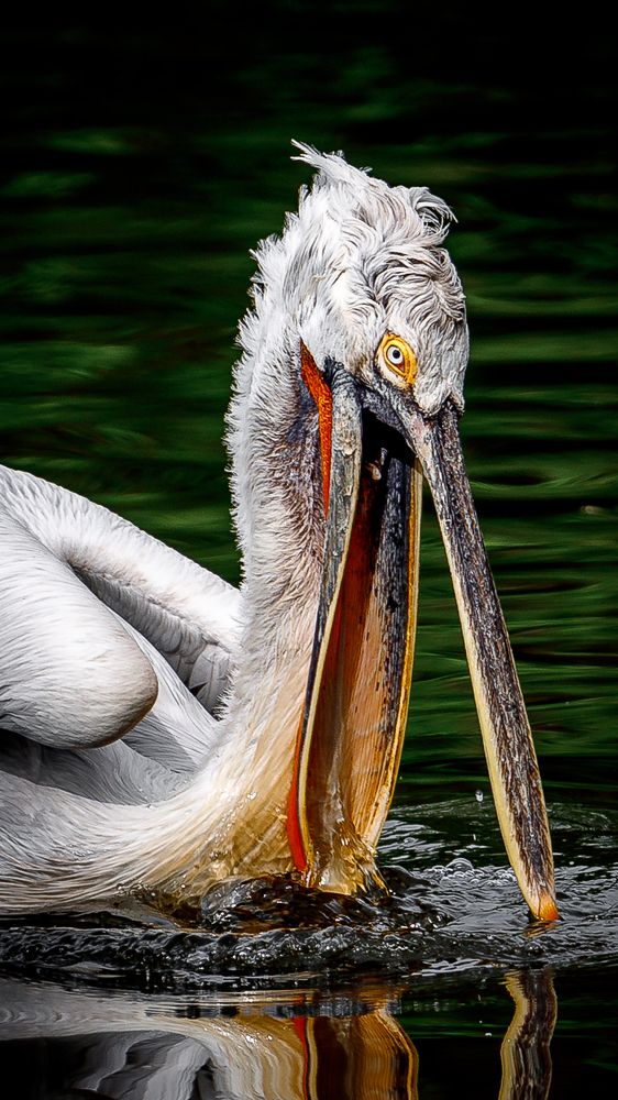 Photograph by Дмитрий Казачек