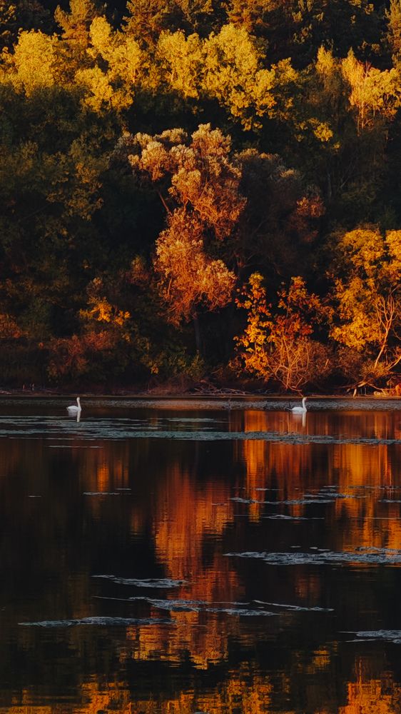 Photograph by Анна Лисина