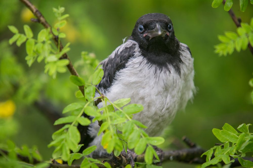 Photograph by Иван Овчинников