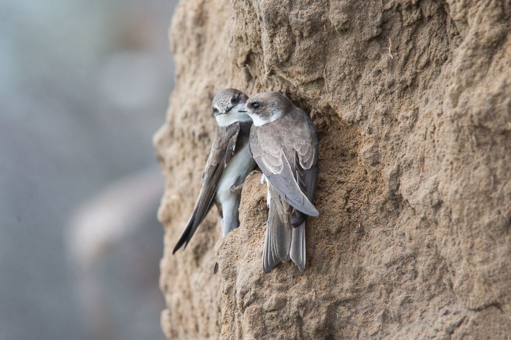 Photograph by Иван Овчинников