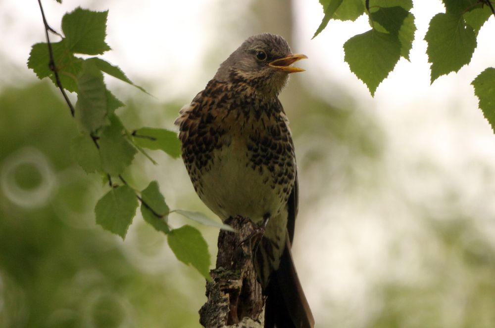 Photograph by Иван Овчинников