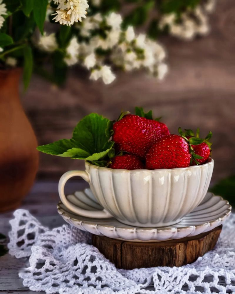 Летние зарисовки