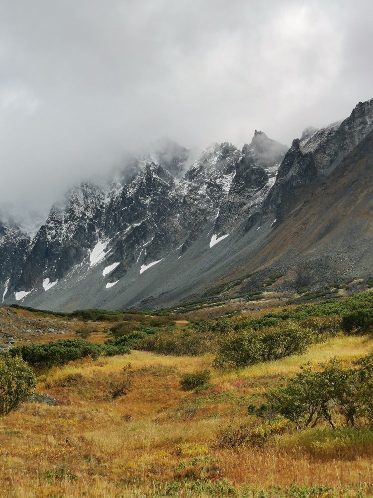 Фотография автора Екатерина