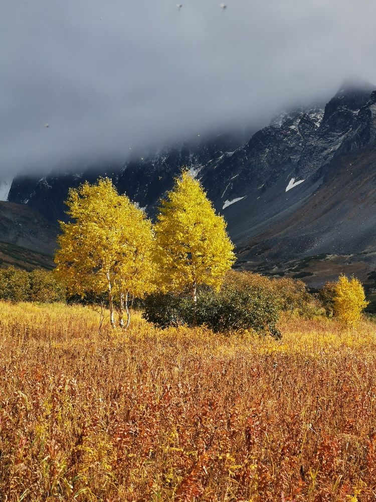 Фотография автора Екатерина