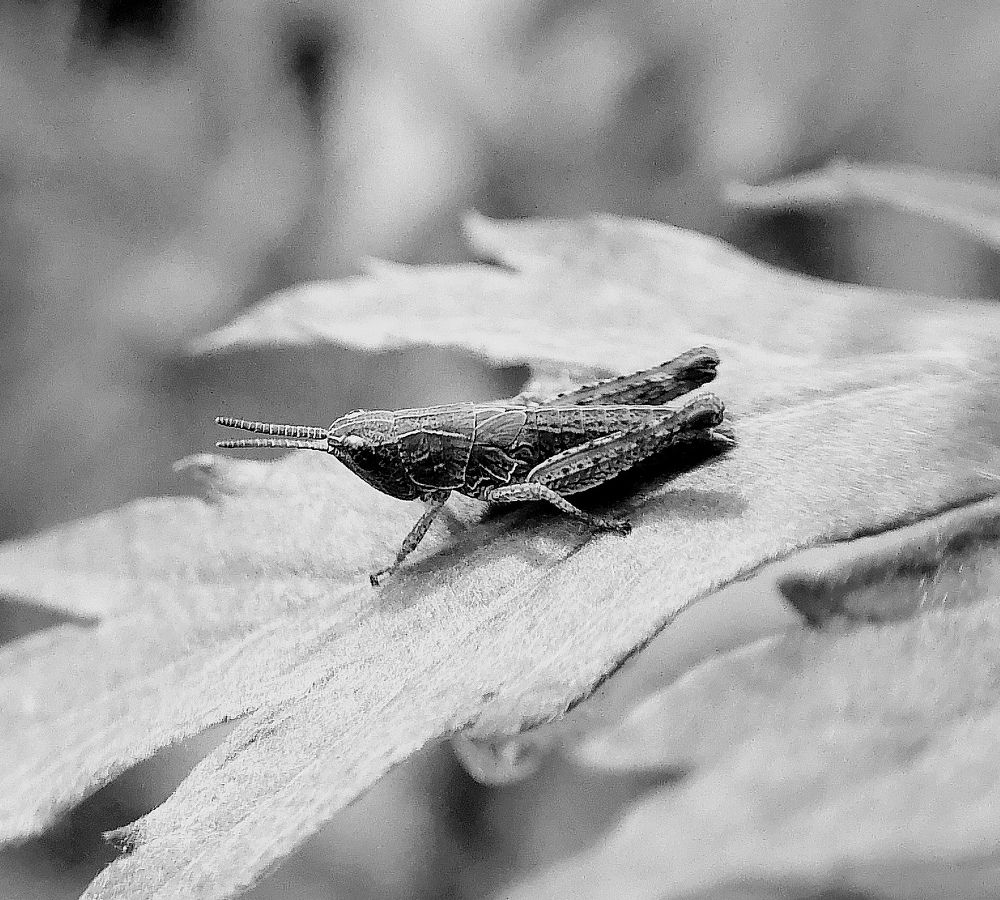 Photograph by Елена Казакова