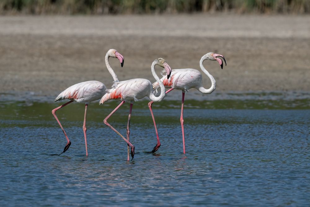 Photograph by Eren Aksoylu