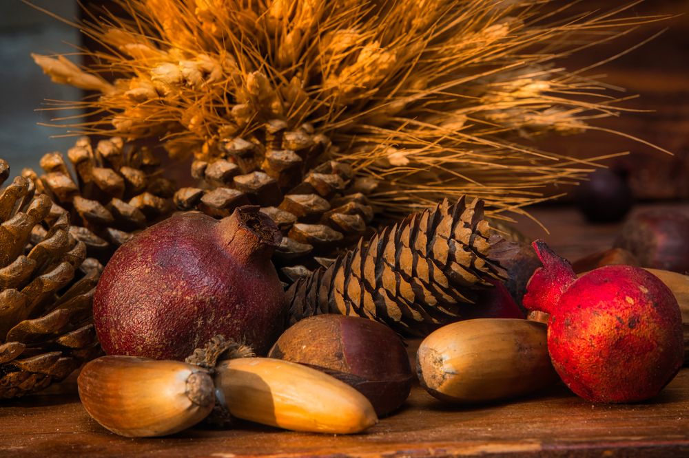 Photograph by Reza Nik