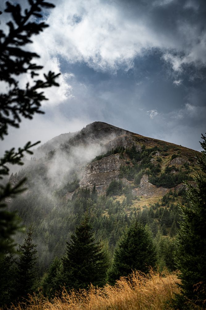 Photograph by Lodi Pertovt