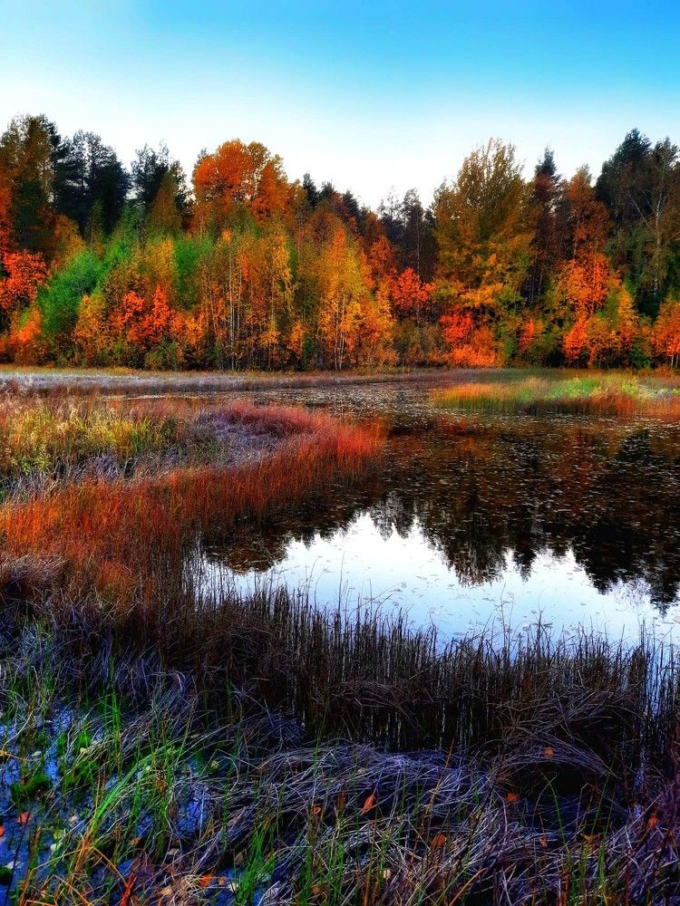 Photograph by Сергей Назаредский