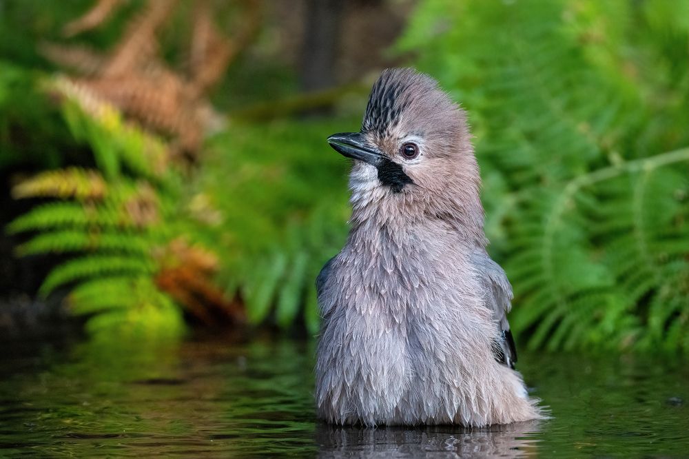 Photograph by Eren Aksoylu