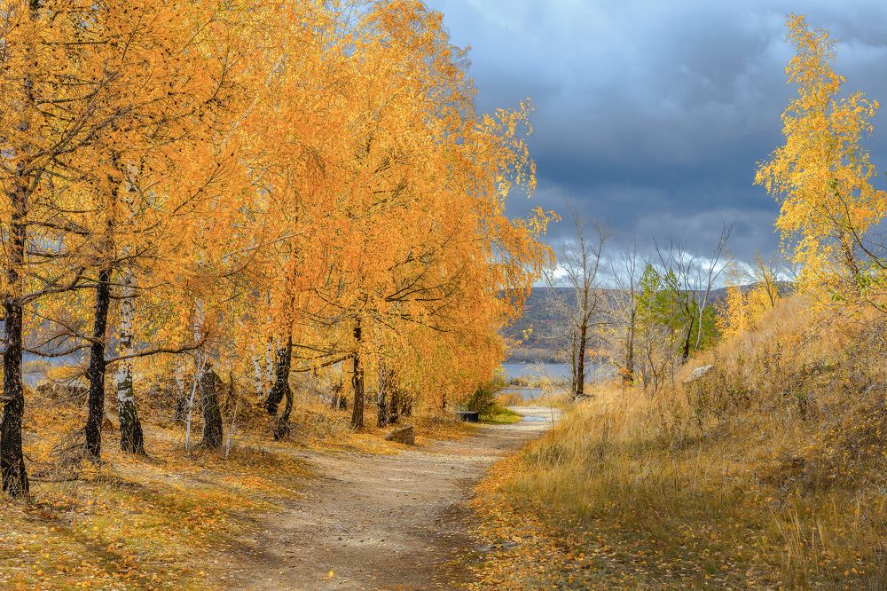 Осень золотая