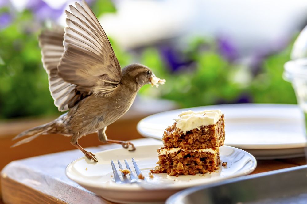 Photograph by Алексей Ромадов