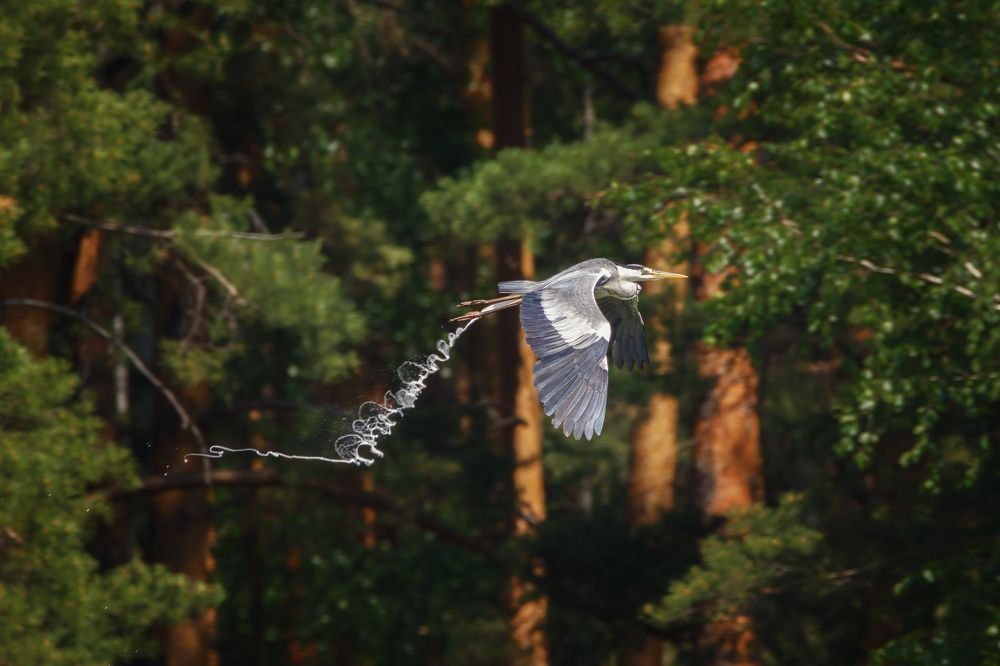 Photograph by Станислав Аристов