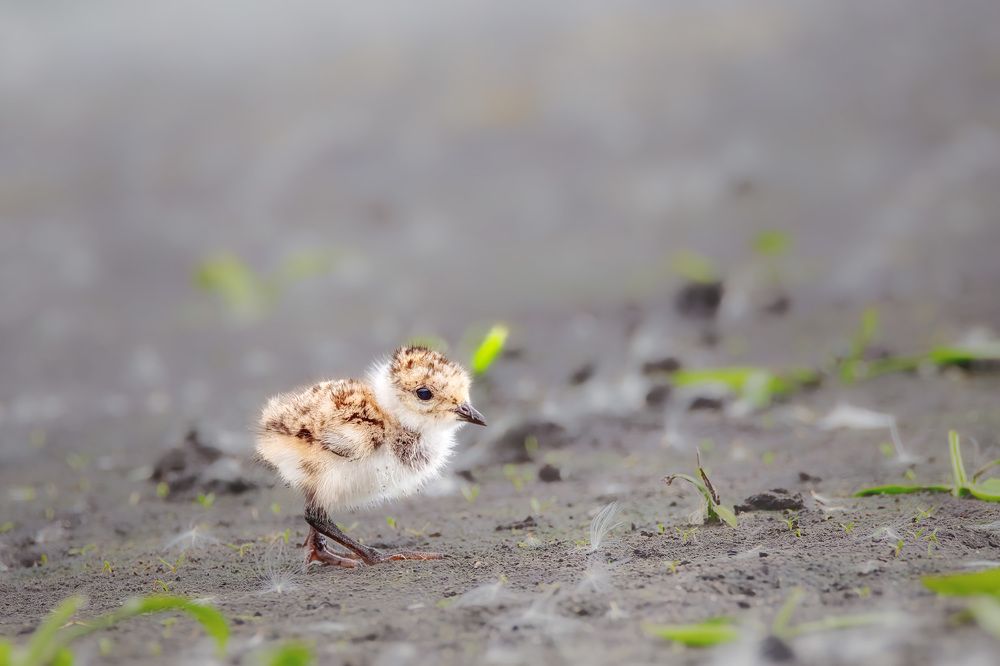 Photograph by Станислав Аристов