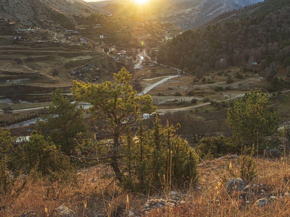 Photograph by Надежда Михайлина