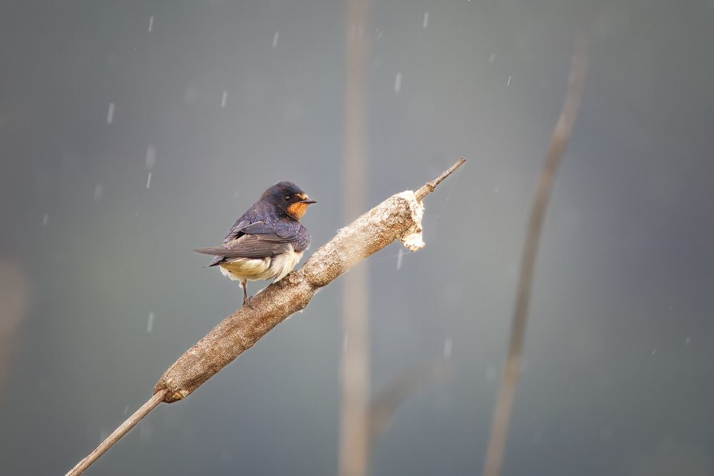 Photograph by Станислав Аристов