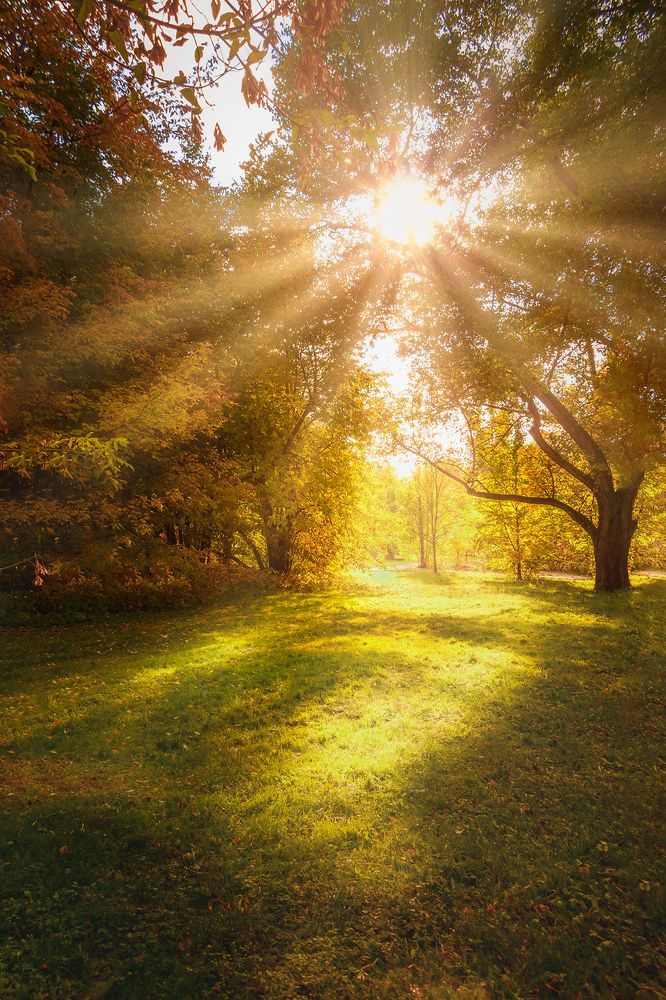 Photograph by PYATNITSKIY ANDREY