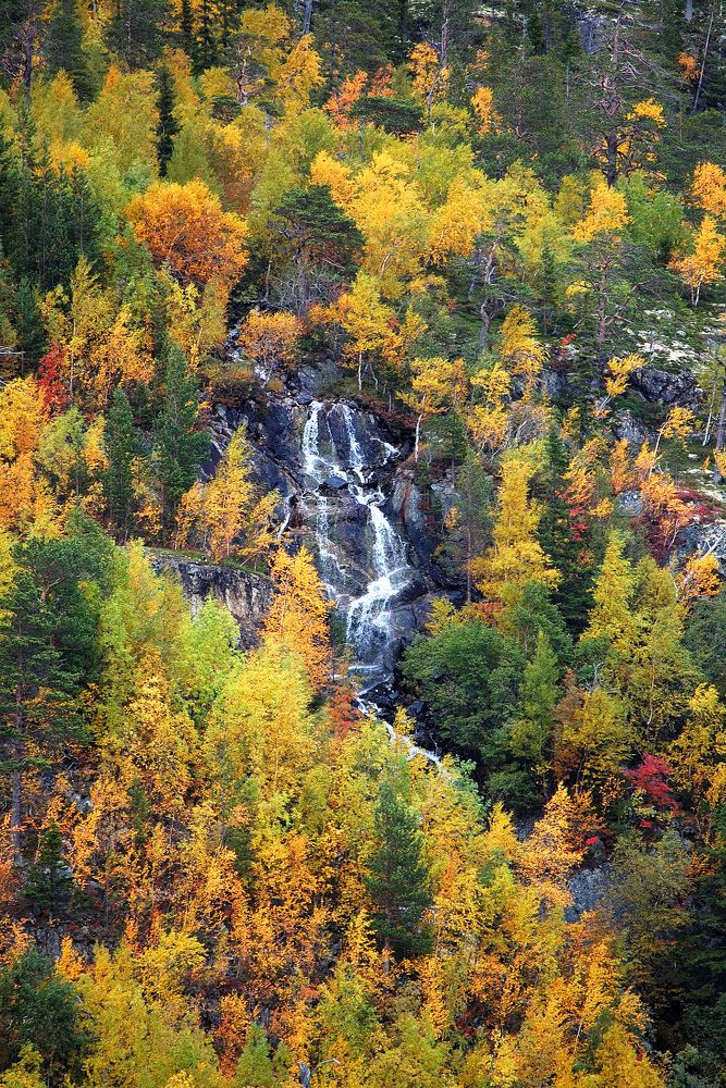 Photograph by ARTEM KORZHUKOV