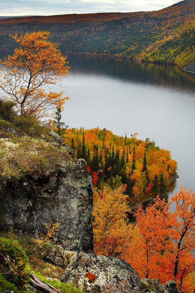 Photograph by ARTEM KORZHUKOV