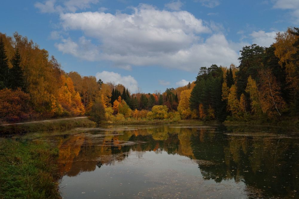 Фотография автора Виталий Сурков