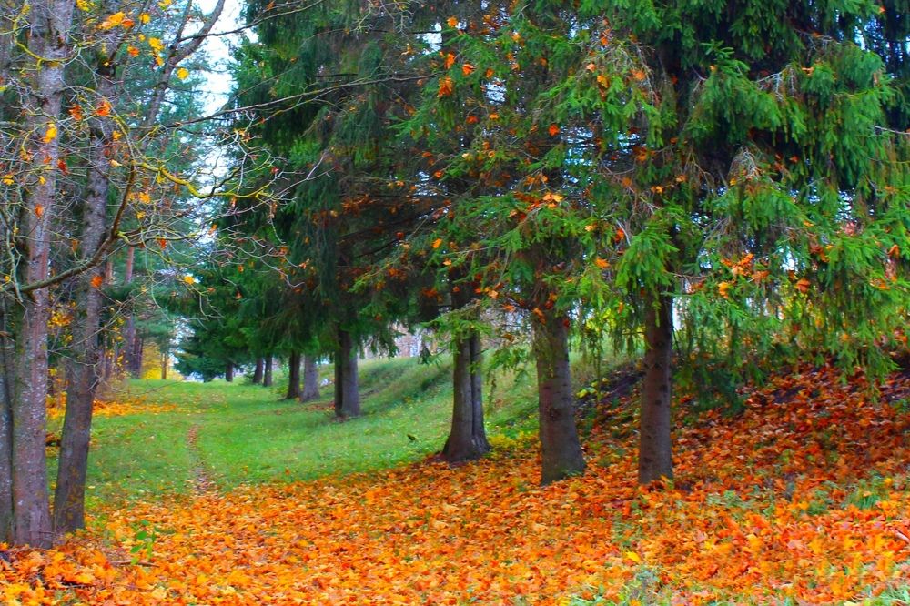 Photograph by Анна Зорька