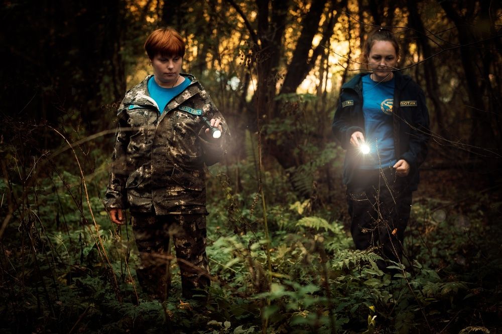 Photograph by Алексей Коровин