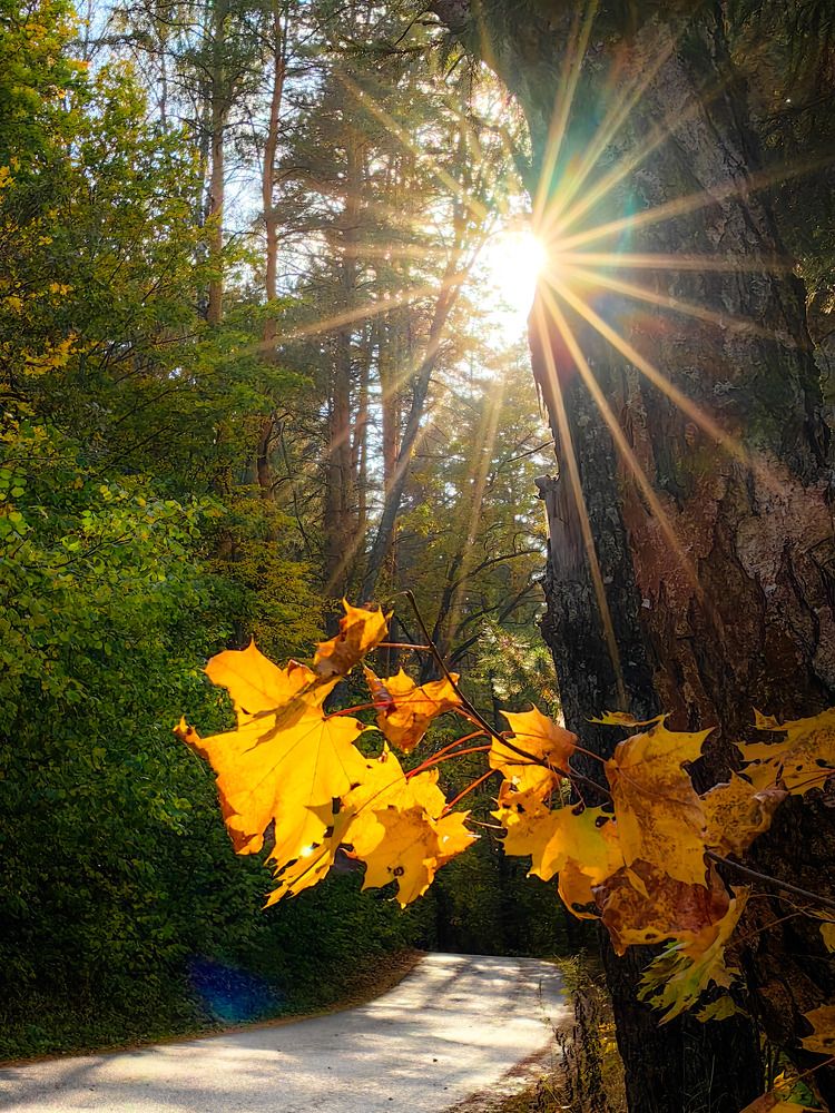 Photograph by Владимир Крылов