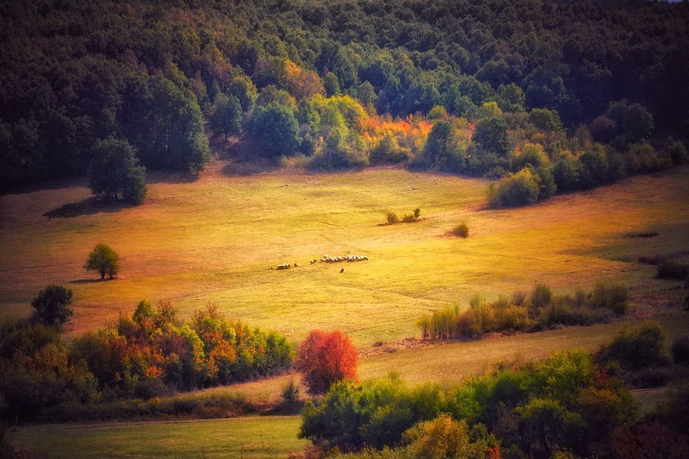 Фотография автора Юлияна Стоянова