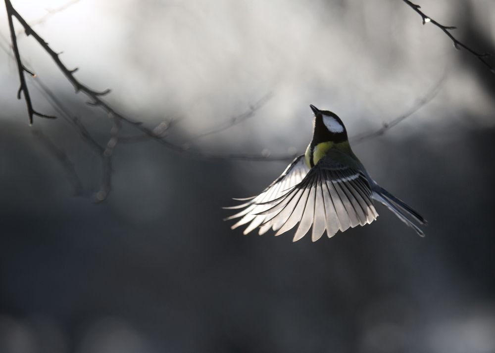 Photograph by Баранов Олег