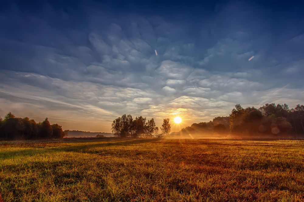 Photograph by Дмитрий Сундеев